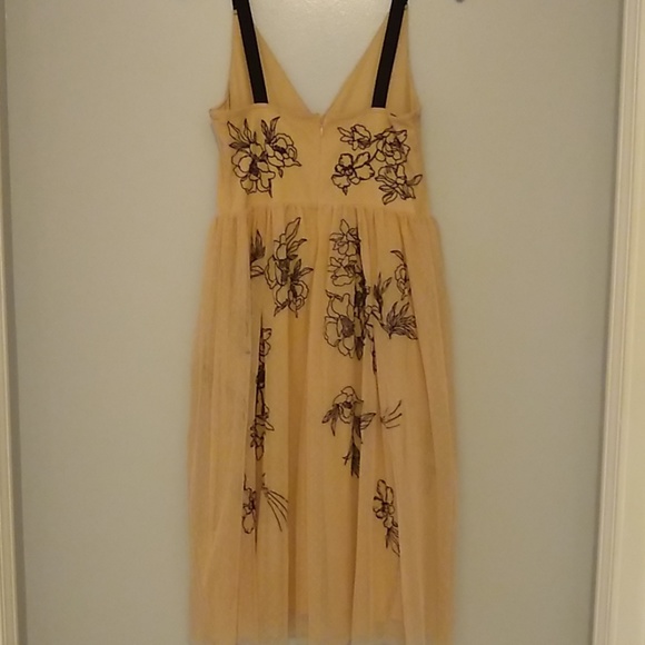 Express - Picture 3 of 3